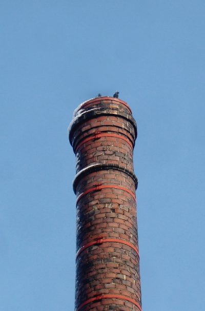 Hauwer Header Staand